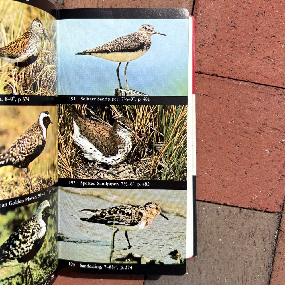 1989 The Audubon Society Field Guide to North American Birds Western Region Bird - Picture 6 of 9